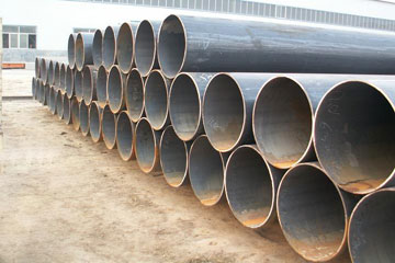 十大正规体育平台