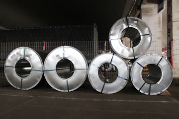 十大正规体育平台