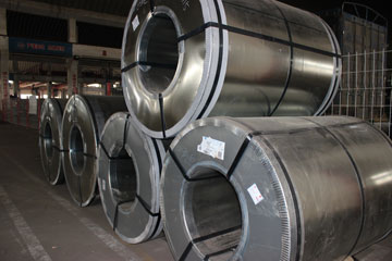 十大正规体育平台