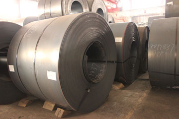 十大正规体育平台