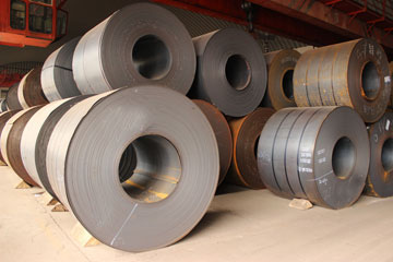 十大正规体育平台