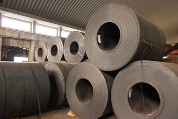 十大正规体育平台