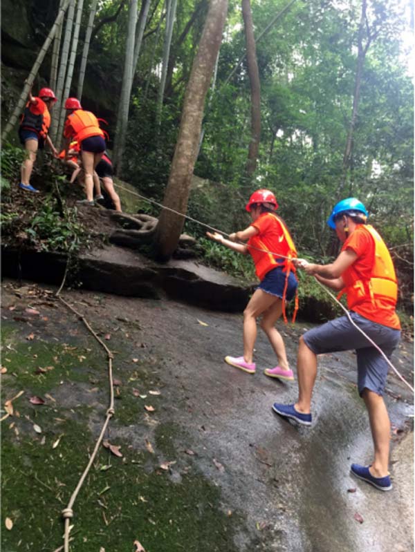 十大正规体育平台