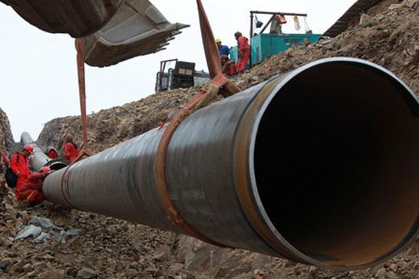 十大正规体育平台