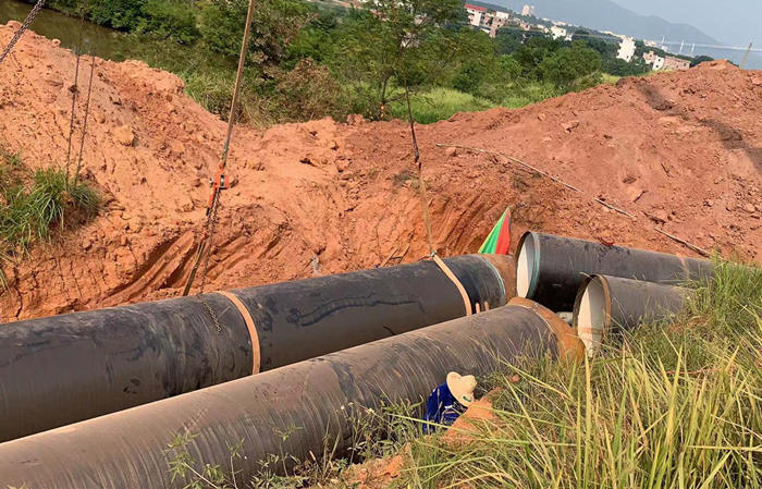 十大正规体育平台