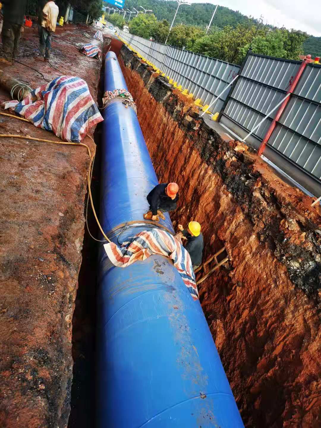 十大正规体育平台