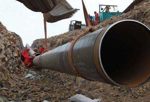 十大正规体育平台