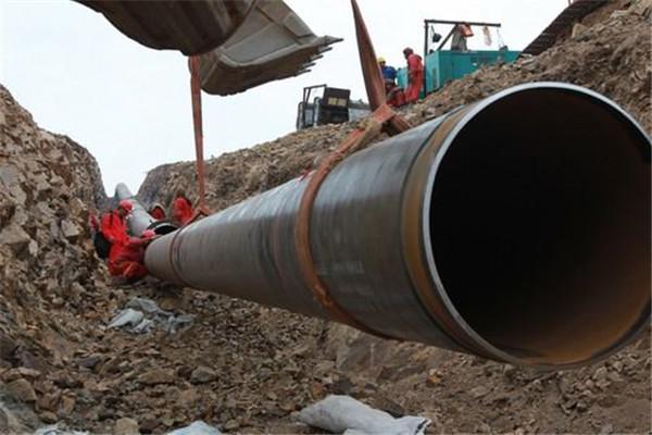 十大正规体育平台