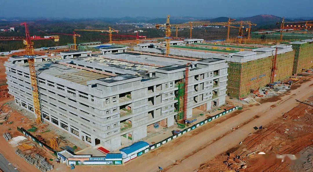 十大正规体育平台